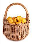 Wicker basket with chanterelle mushrooms on a white background