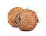 Two brown ripe coconut isolated on white background