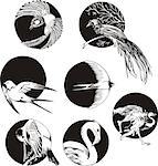 Round designs with birds. Set of black and white vector illustrations.