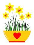 vector daffodils in pot isolated on white background, Adobe Illustrator 8 format