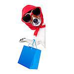 shopping diva dog holding a blue shopping bag wearing sunglasses