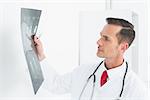 Concentrated male doctor examining x-ray over white background