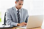 Concentrated young businessman using the laptop at office desk