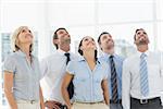 Smiling business team looking up in a bright office