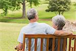 Rear view of a senior man and woman sitting on bench at the park