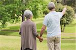 Rear view of a senior man and woman holding hands at the park
