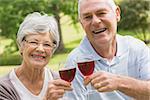 Portrait of a senior woman and man toasting wine glasses at the park