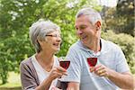Portrait of a senior woman and man toasting wine glasses at the park