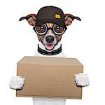 postal dog delivering a big brown package