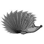 A funny hedgehog. A stylized monochrome vector-art illustration isolated on a white background