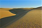 Sand Dunes, Matruh Governorate, Libyan Desert, Sahara Desert, Egypt, Africa