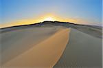 Sand Dune at Sunrise, Matruh Governorate, Libyan Desert, Sahara Desert, Egypt, Africa
