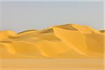 Sand Dune in Desert, Matruh Governorate, Libyan Desert, Sahara Desert, Egypt, Africa