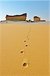 Footprints in Desert Landscape, Matruh Governorate, Libyan Desert, Sahara Desert, Egypt, Africa