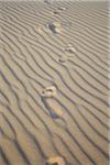 Footprints on Sand, Dune du Pilat, Arcachon, France