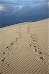 Footprints on Sand Dune, Dune du Pilat, Arcachon, France