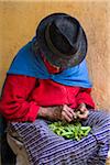 Vegetable Seller at Local Food Market, Otavalo, Imbabura Province, Ecuador