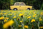 Vintage yellow car in field