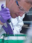 Researcher loads a sample of DNA into an agarose gel for separation by electrophoresis