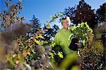 Mid adult woman gardening