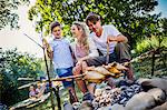 Family barbecuing on the riverside, foothills of the Alps, Bavaria, Germany