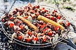 Barbecue grill, meat skewers and corn on the cob, Bavaria, Germany