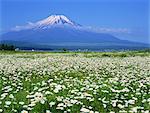 Yamanakako, Yamanashi, Japan