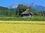 Daisen, Tottori, Japan