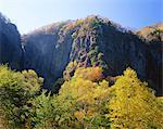 Yonago Falls, Nagano, Japan