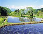 Hakuba, Nagano, Japan