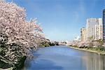 Fukuoka Castle, Fukuoka, Japan