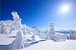 Soft Rime Of Mt. Hakkoda, Aomori, Japan