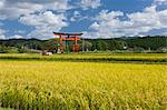 Haguroyama Shrine, Yamagata, Japan