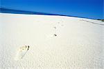 Footprint, Seychelles