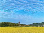 Five Storied Pagoda Of Kokubun-ji, Okayama, Japan