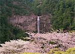 Nachi Falls, Wakayama, Japan