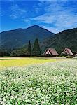 Shirakawa, Gifu, Japan