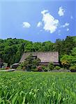 Iwase Family Residence, Toyama, Japan