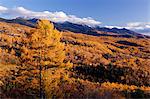 Tateshina Highland And Mt. Yatsugatake, Nagano, Japan