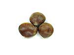 fresh chestnuts on a white background