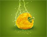 Fresh yellow bell pepper with water splashes on green background.