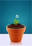 Small plant with recycle sign in garden pot, Ecological awareness concept