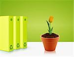 Green folders and yellow tulip, Ecological awareness concept