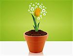 yellow tulip in garden pot with recycle sign around, Ecological awareness concept