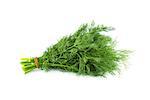 a bunch of  Fennel plant leaves on a white background