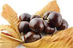 Sweet chestnuts with leaves on white background.