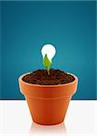 modern energy-saving concept,  bright bulb in garden pot with small plant.