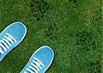 Blue Shoe print on green grassland.