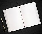 blank opened book with black pen .