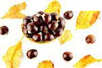 Sweet chestnuts in straw basket with leaves on white background.